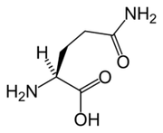 L-glutamiini Keto-ruokavaliossa